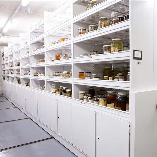 Museum storage option - Spacesaver Storage Solutions