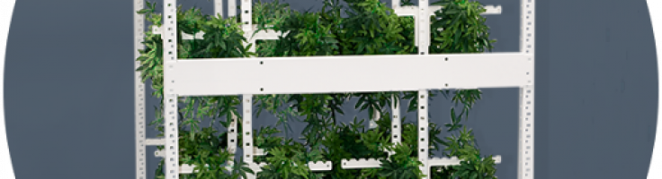 Cannabis Drying Racks